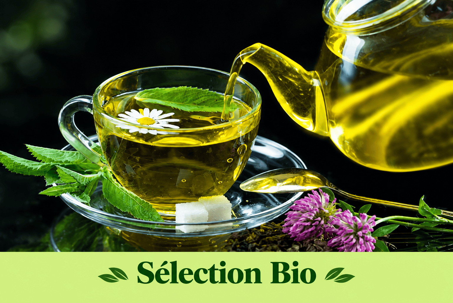 Sélection Bio